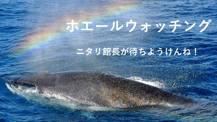 黒潮町公式ホームページ