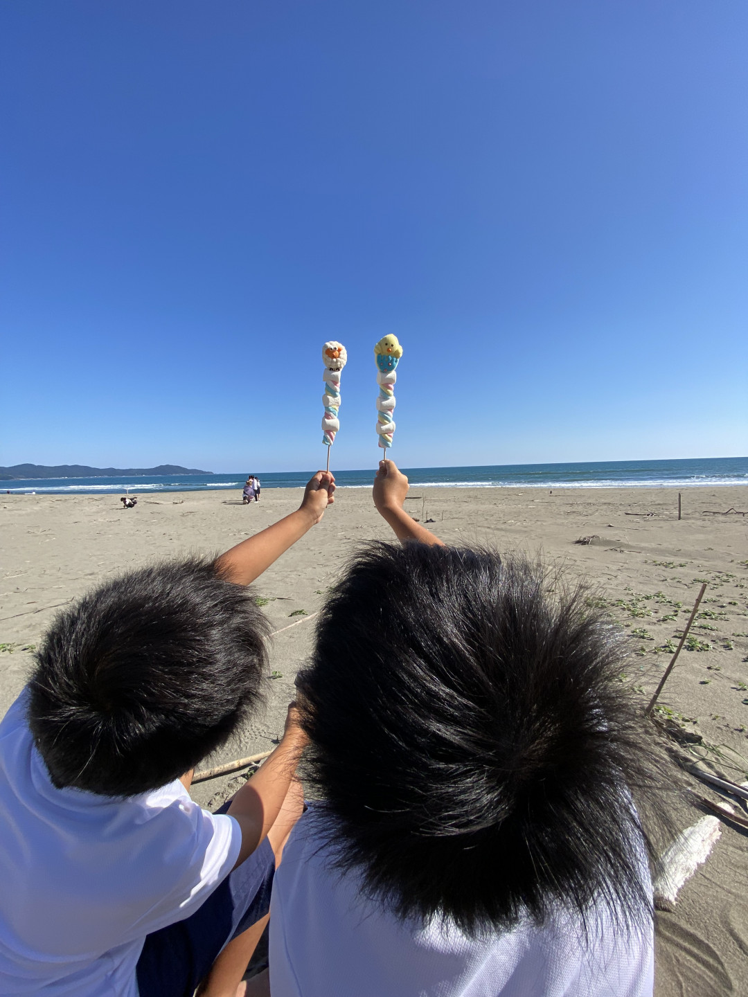 黒潮町公式ホームページ